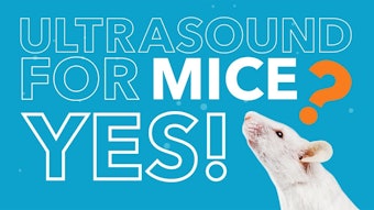 Maxresdefault 5f171cf0d791b