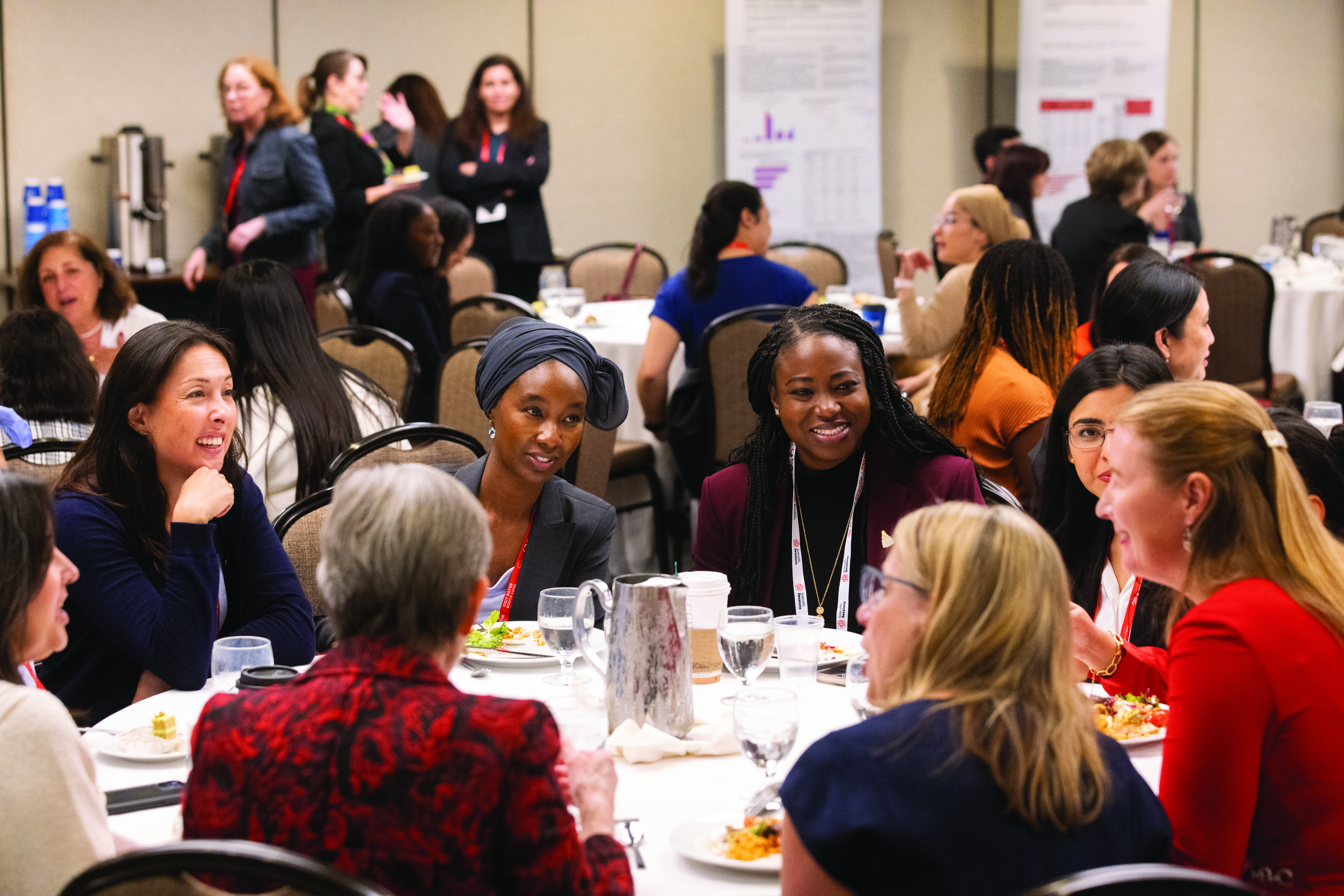 D3 Maternal Health Audience