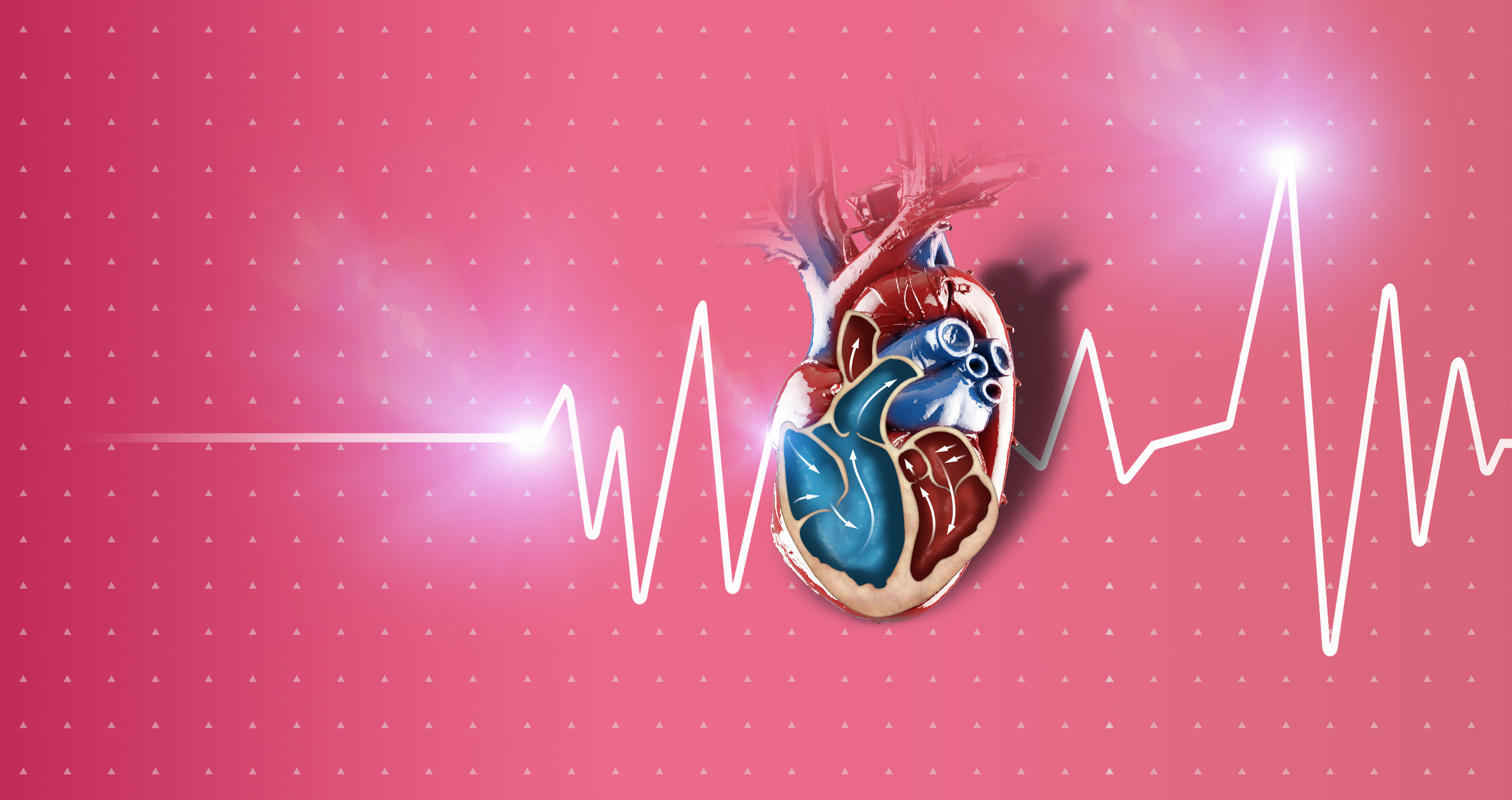 Anatomical heart illustration with ECG heartbeat waveform line on pink background