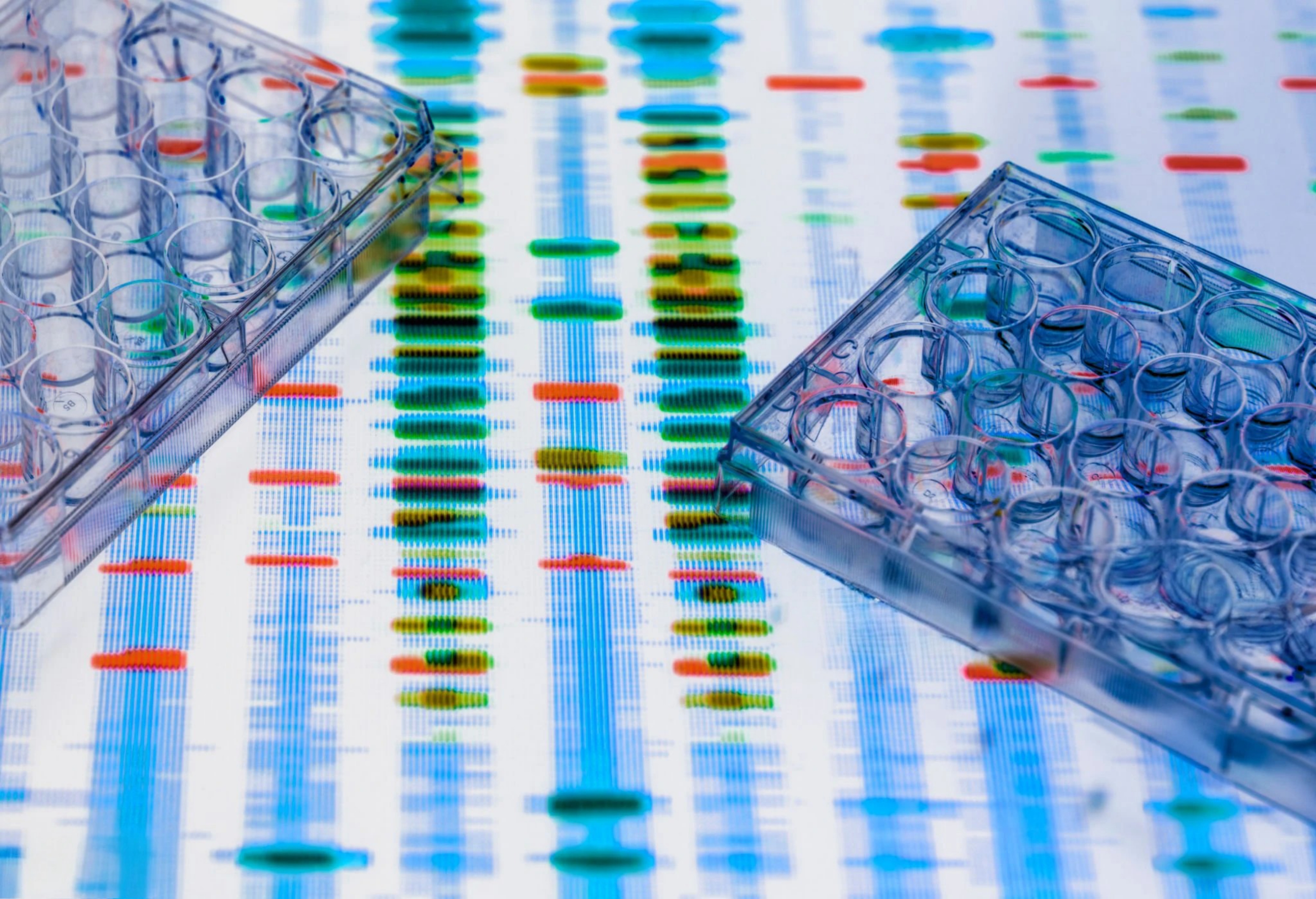 DNA sequencing gel with colored bands displayed beneath laboratory sample trays used in genetic analysis